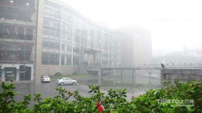 驚蟄過，春雨至，硅藻泥讓你告別濕轆轆